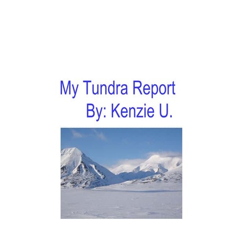 My Tundra Report Ulmer