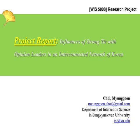 Influences of strong tie with opinion leaders in an interconnected network of korea