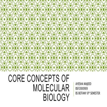 my work.pptxjhjjjjjjjjjjjjjkkkkkkkkkkkkkkk