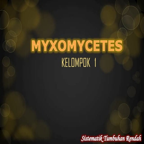Myxomycetes