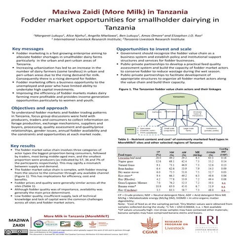 Fodder market opportunities for smallholder dairying in Tanzania