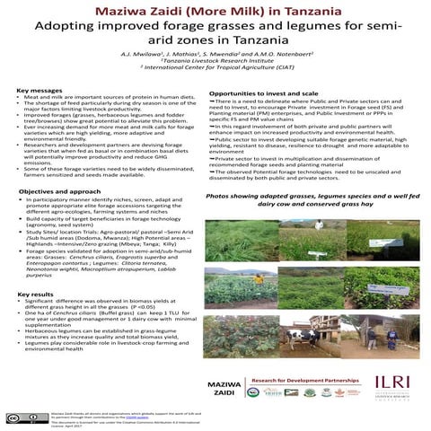 Adopting improved forage grasses and legumes for semi-arid zones in Tanzania