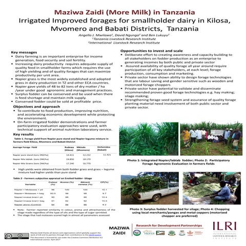 Irrigated Improved forages for smallholder dairy in Kilosa, Mvomero and Babat...