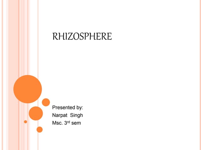 Rhizosphere