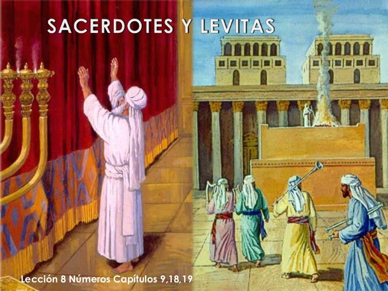 N 08 Sacerdotes Y Levitas Sef