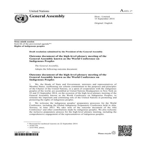 Declaration on the Rights of Indigenous Peoples | PDF