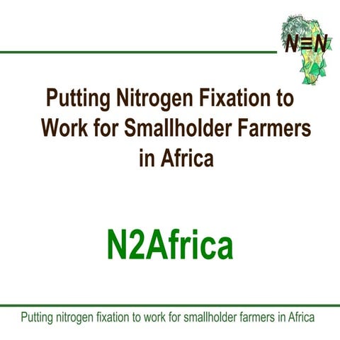 N2 africa 2010 general presentation (gap)(2)