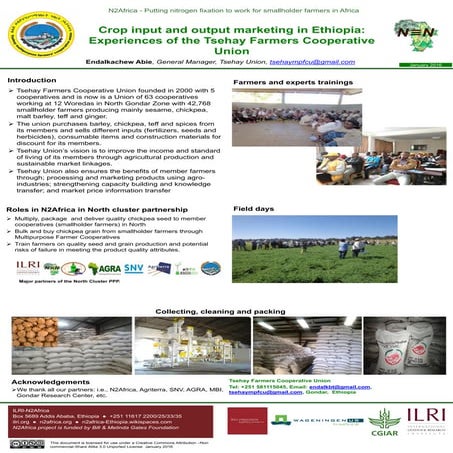 Crop input and output marketing in Ethiopia: Experiences of the Tsehay Farmer...