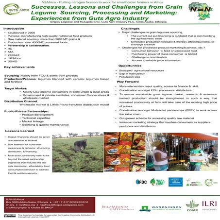 Successes, lessons and challenges from grain legume sourcing, processing and ...