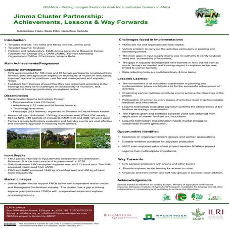 Jimma cluster partnership: Achievements, lessons and way forwards