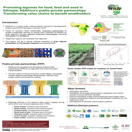 Promoting legumes for food, feed and seed in Ethiopia: N2Africa’s public-priv...