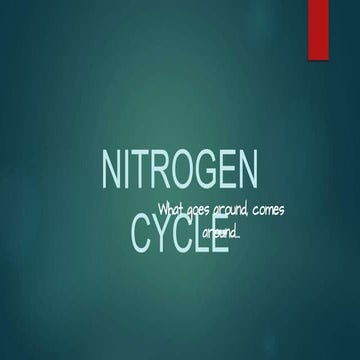 N2 CYCLE PRESENTATION. 11.05.22.pptx gkfv