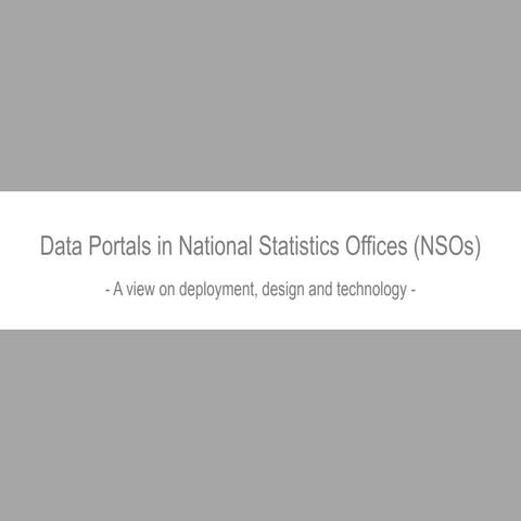 Data Portals in National Statistics Offices: Case of Developing Countries