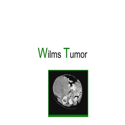 Wilms_Tumor_Pediatric_Nursing_Presentation.pptx
