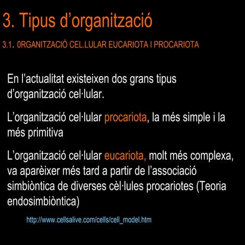 Nº2organització procariota i virus