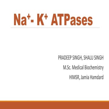 Sodium - Potassium Pump 