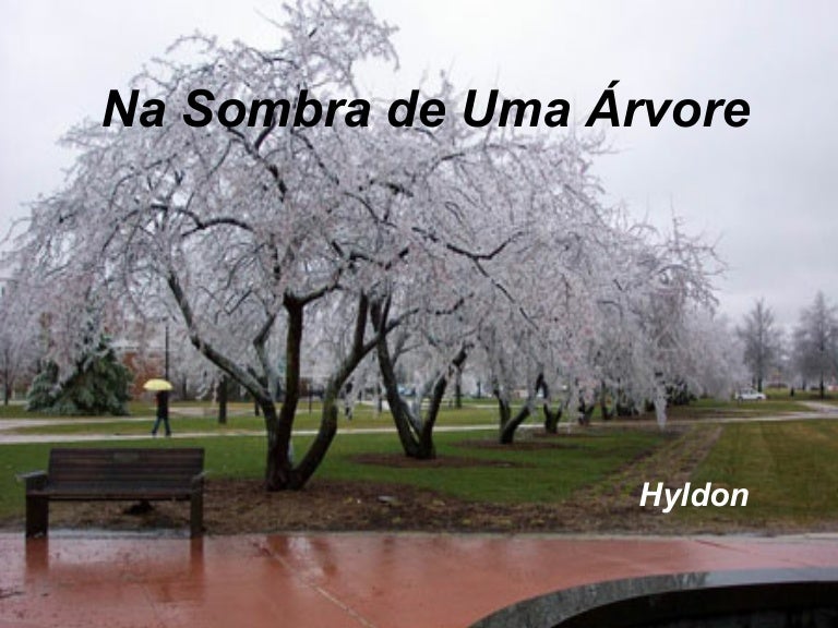 Na Sombra De Uma Arvore