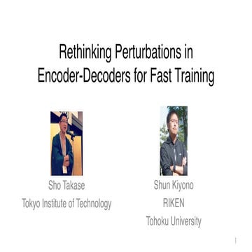 Rethinking Perturbations in Encoder-Decoders for Fast Training