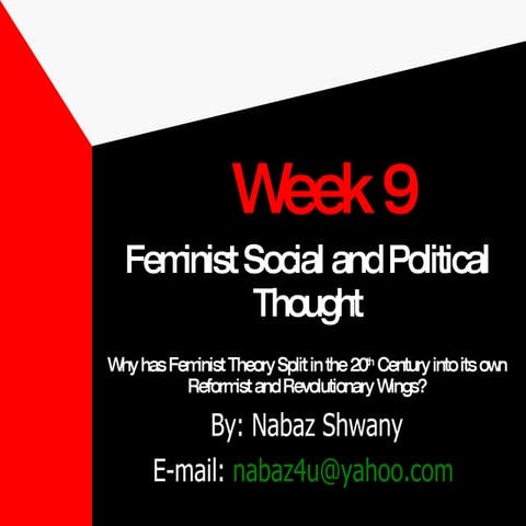 Feminist Social and Political Thought