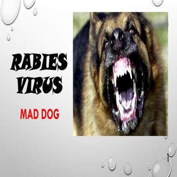 Biosafety related to Rabies Virus or Mad Dog.pptx
