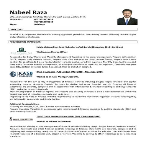 Nabil raza resume