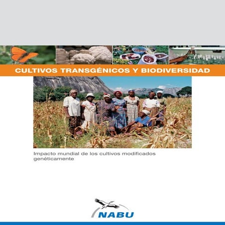 Nabu cultivos trangenicos_y_biodiversidad