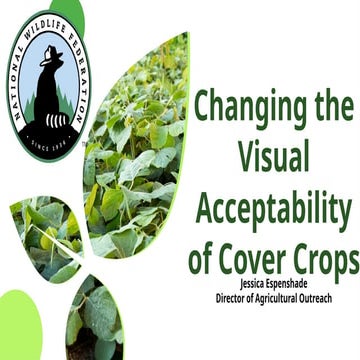 Ugly to Beautiful: Changing the Visual Acceptability of Cover Crops