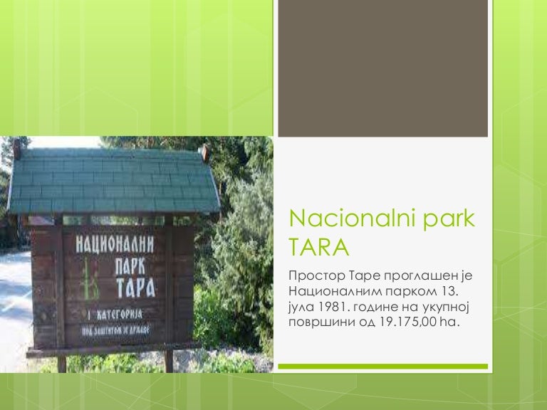 Национални парк Тара