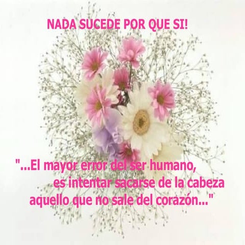 nada sucede porque si | PPS