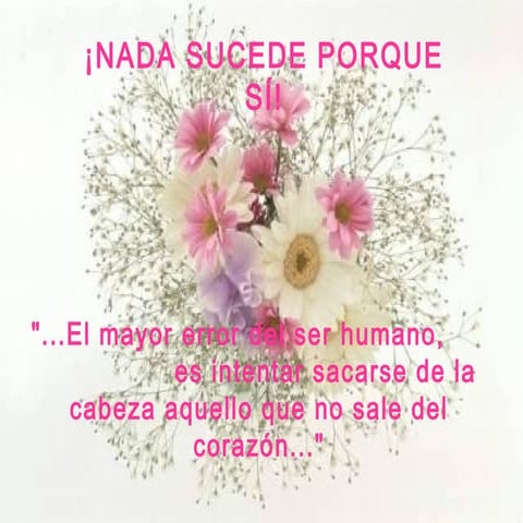 Nadasucedeporcasualidad