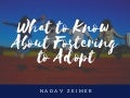 Nadav Zeimer | What to Know about Fostering to Adopt
