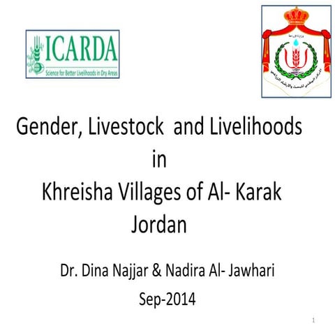 Nadira and Dina final gender ds  presentation ncare meeting and planning of 2...