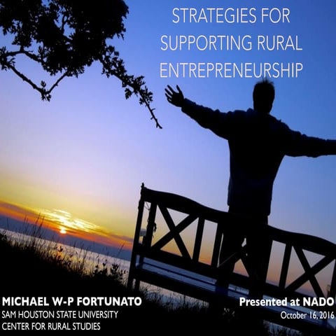 Strategies for Supporting Rural Entrepreneurship