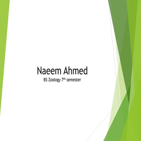 Naeem
