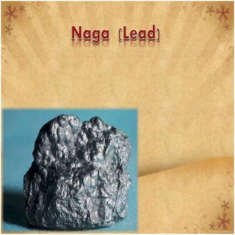 Naga (Lead)
