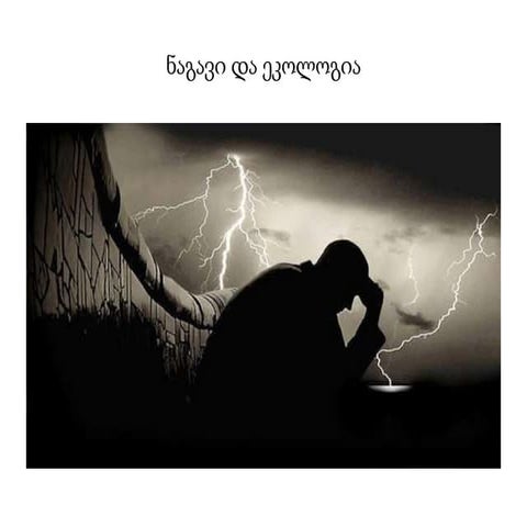 ნაგავი და ეკოლოგია