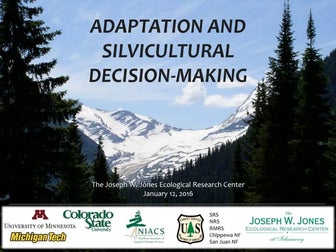 Adaptation and Silvicultural Decision-making