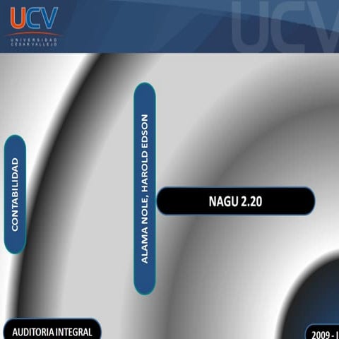NAGU 2.20 (Auditoria)