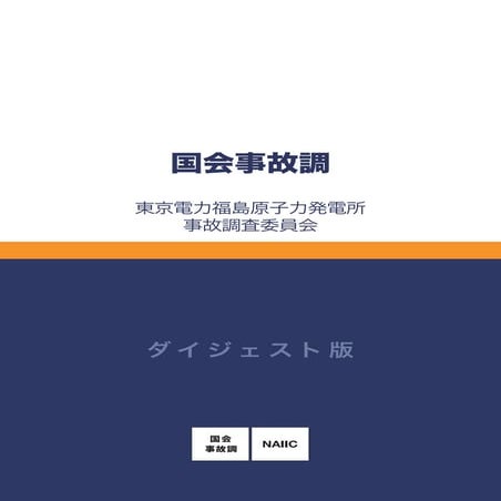 Naiic digest(ダイジェスト版)