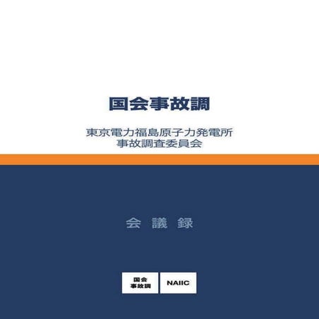 Naiic kaigiroku(会議録)