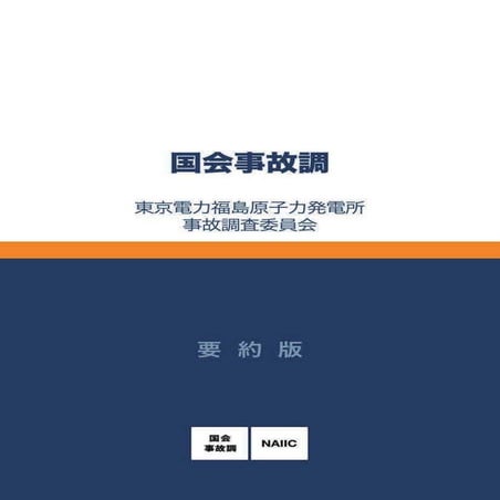 Naiic youyaku(要約)