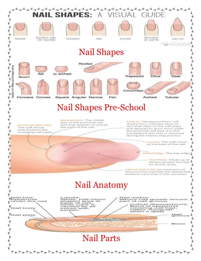 Nail shapes