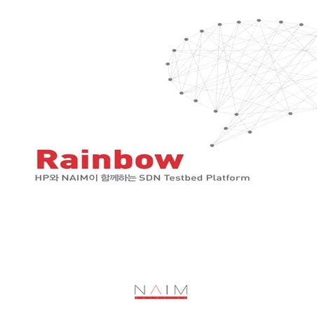 NAIM Networks SDN Testbed Platform 'Rainbow'