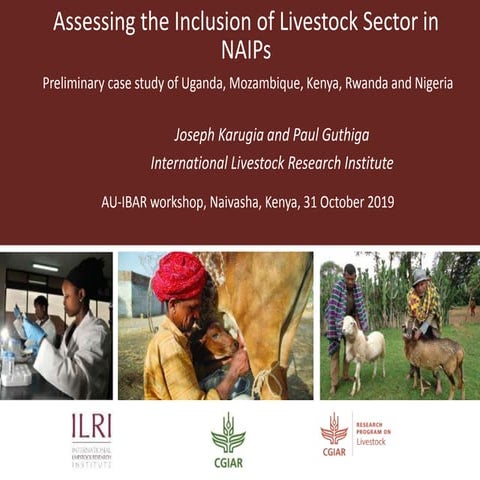 Assessing the inclusion of livestock Sector in NAIPs: Preliminary case study ...