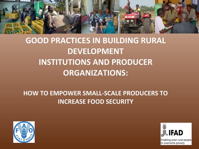GOOD PRACTICES IN BUILDING RURAL DEVELOPMENT INSTITUTIONS AND PRODUCER ORGANIZATIONS