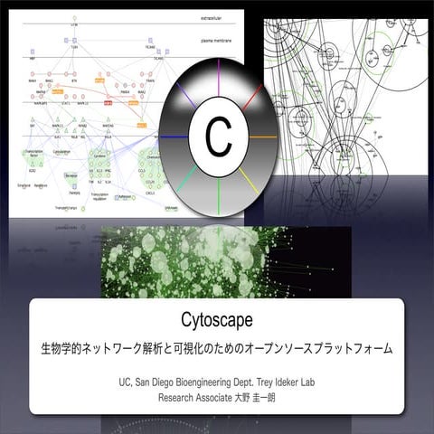 Cytoscape seminar