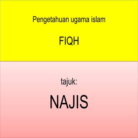 Najis