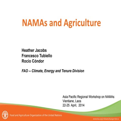 NAMAs and Agriculture