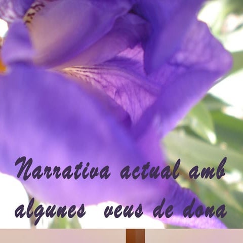 Narrativa actual amb algunes  veus de dona