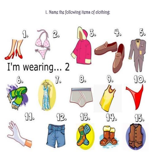 GARMENTS ITEMS NAME visual data 6